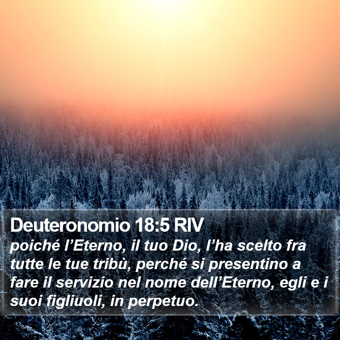 Deuteronomio 18:5 RIV Bible Study