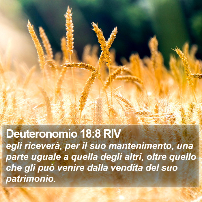 Deuteronomio 18:8 RIV Bible Study