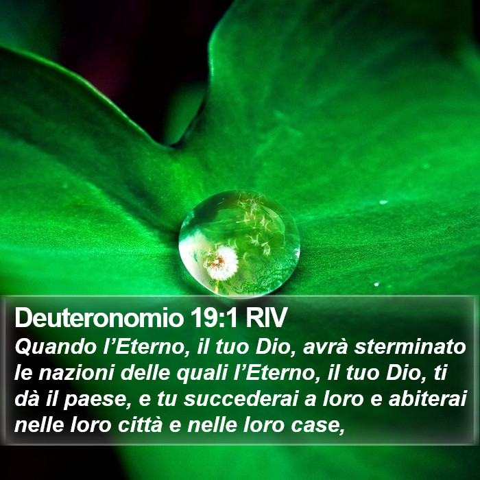 Deuteronomio 19:1 RIV Bible Study