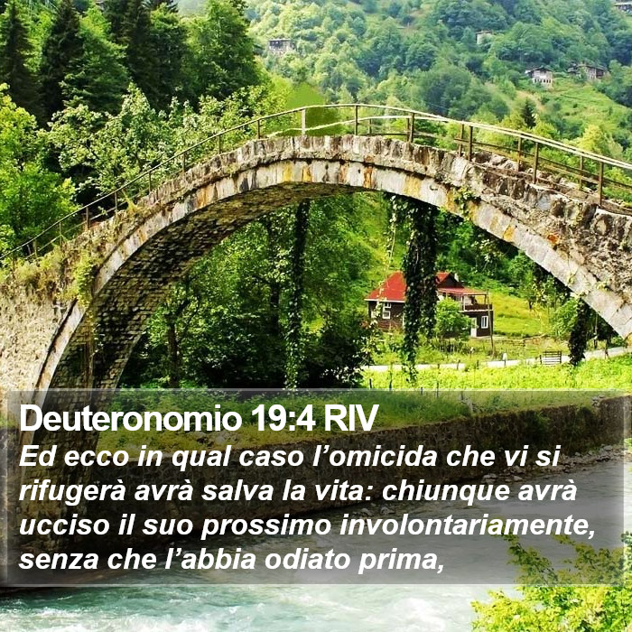 Deuteronomio 19:4 RIV Bible Study