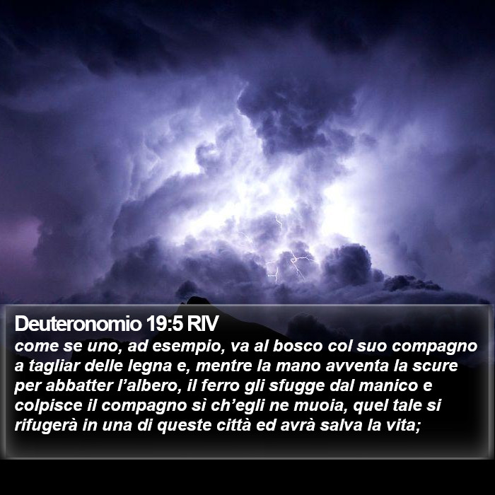 Deuteronomio 19:5 RIV Bible Study