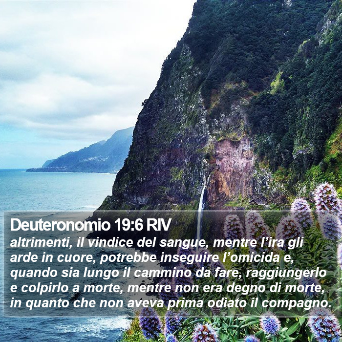 Deuteronomio 19:6 RIV Bible Study