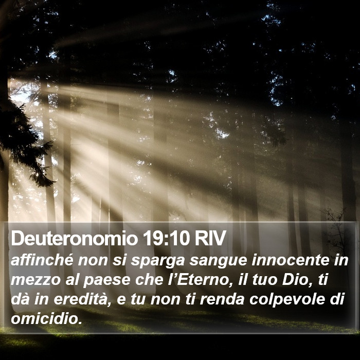 Deuteronomio 19:10 RIV Bible Study