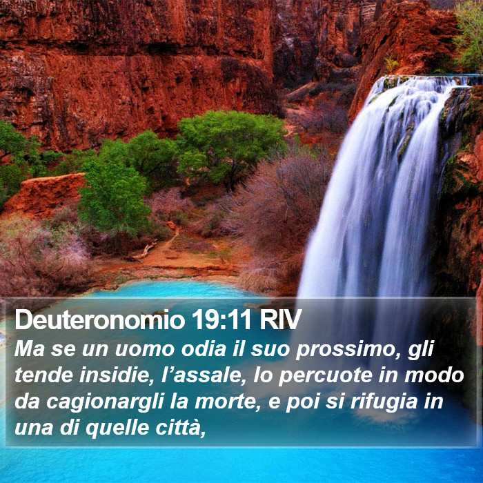 Deuteronomio 19:11 RIV Bible Study