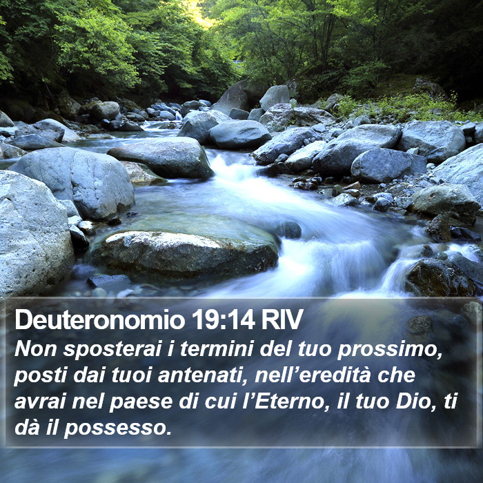 Deuteronomio 19:14 RIV Bible Study