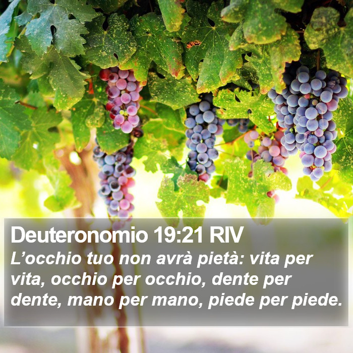 Deuteronomio 19:21 RIV Bible Study