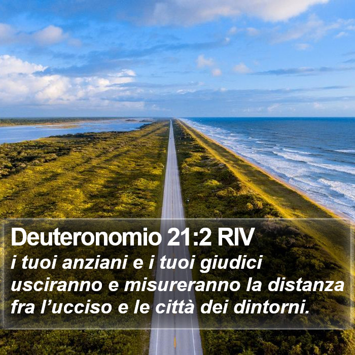 Deuteronomio 21:2 RIV Bible Study