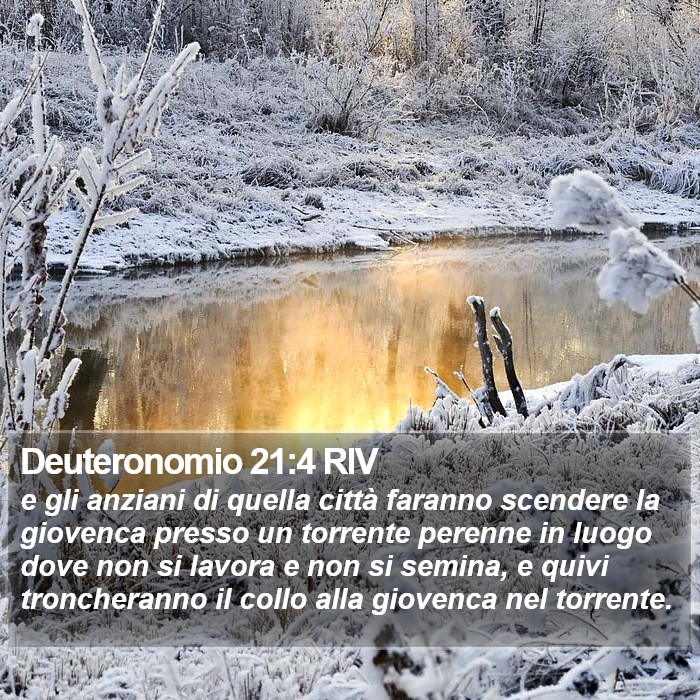 Deuteronomio 21:4 RIV Bible Study