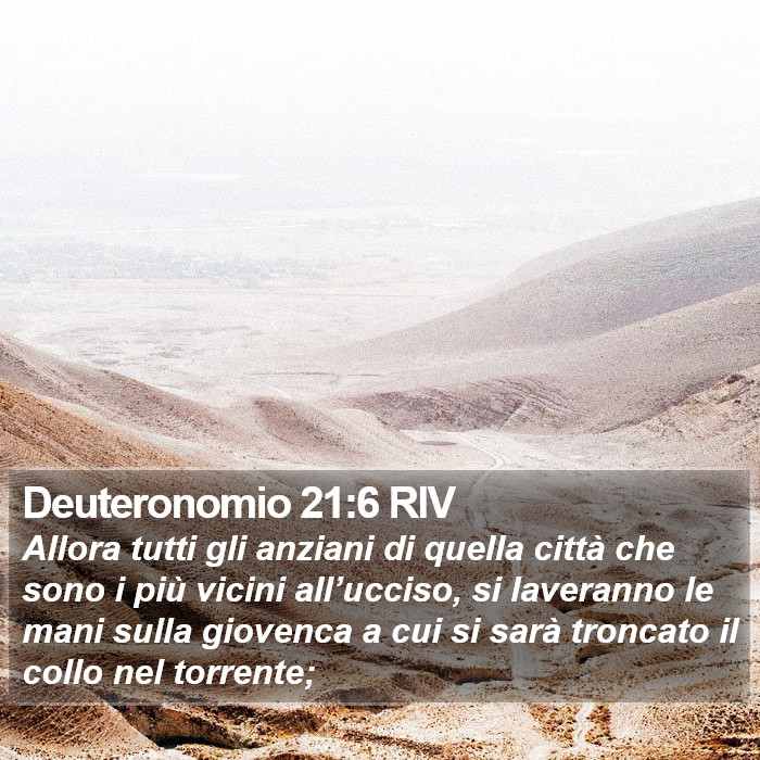 Deuteronomio 21:6 RIV Bible Study