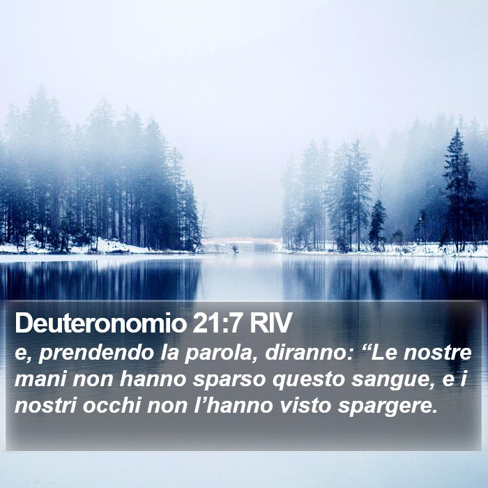 Deuteronomio 21:7 RIV Bible Study