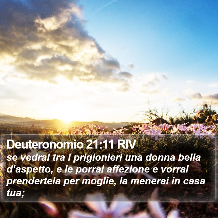 Deuteronomio 21:11 RIV Bible Study