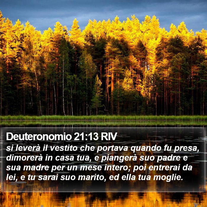 Deuteronomio 21:13 RIV Bible Study