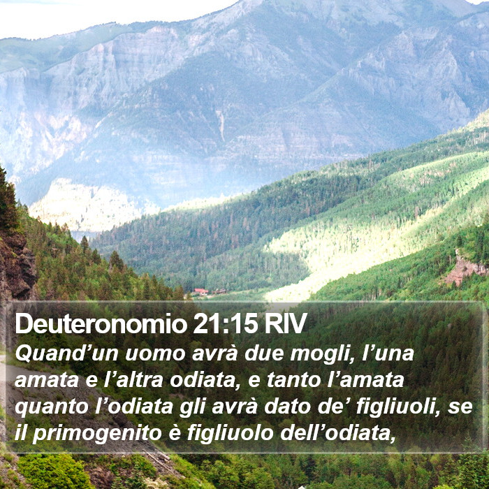 Deuteronomio 21:15 RIV Bible Study