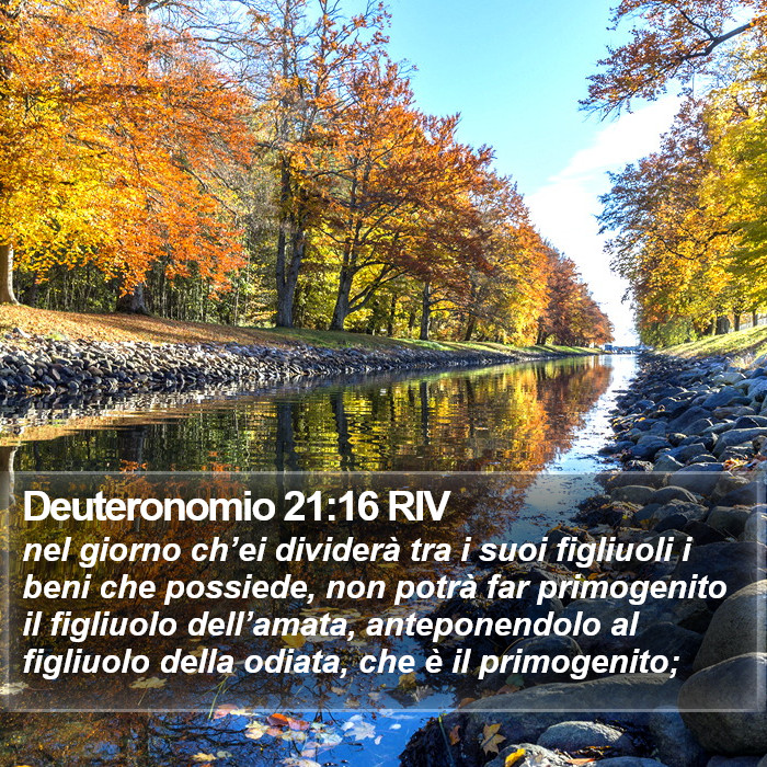 Deuteronomio 21:16 RIV Bible Study