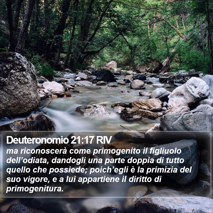 Deuteronomio 21:17 RIV Bible Study