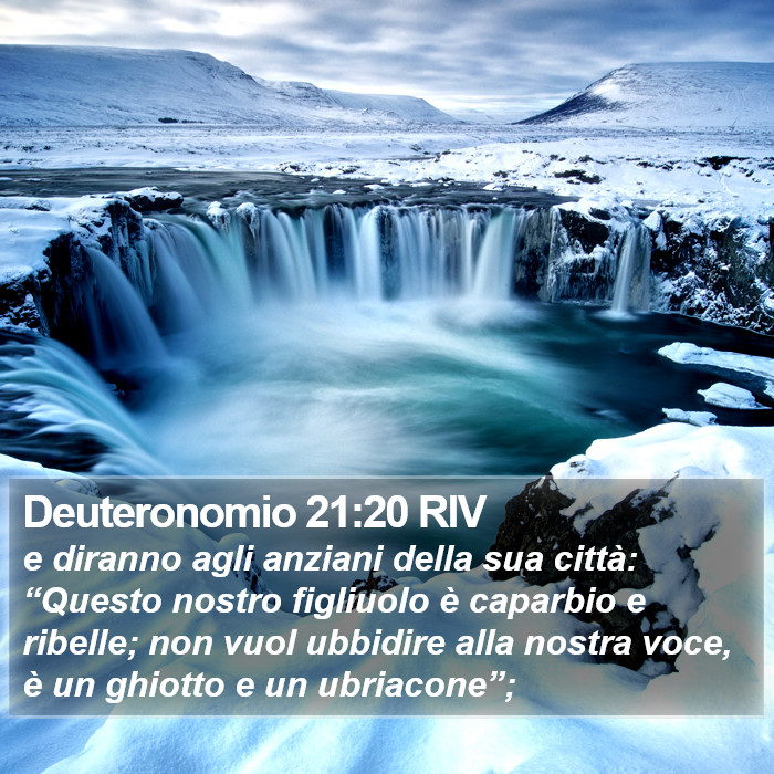 Deuteronomio 21:20 RIV Bible Study