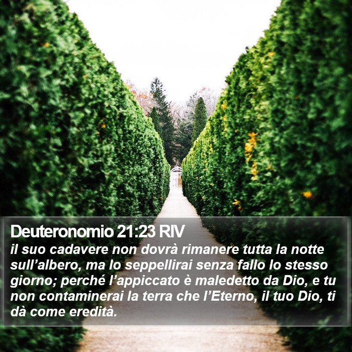 Deuteronomio 21:23 RIV Bible Study