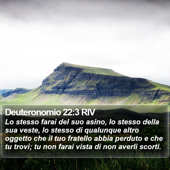 Deuteronomio 22:3 RIV Bible Study