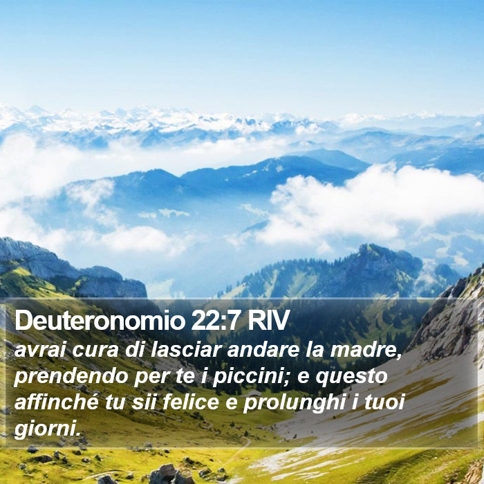 Deuteronomio 22:7 RIV Bible Study