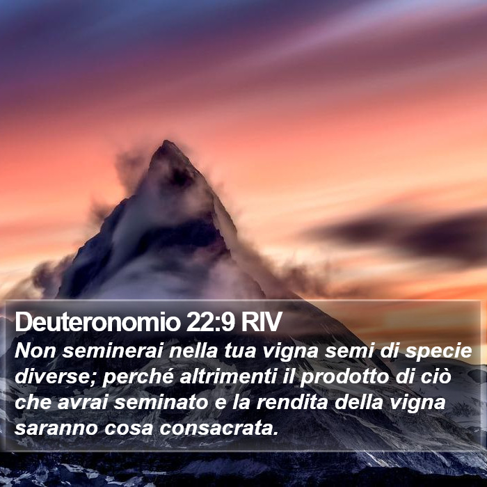 Deuteronomio 22:9 RIV Bible Study