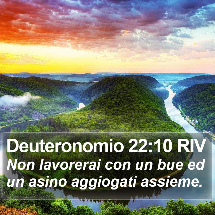 Deuteronomio 22:10 RIV Bible Study