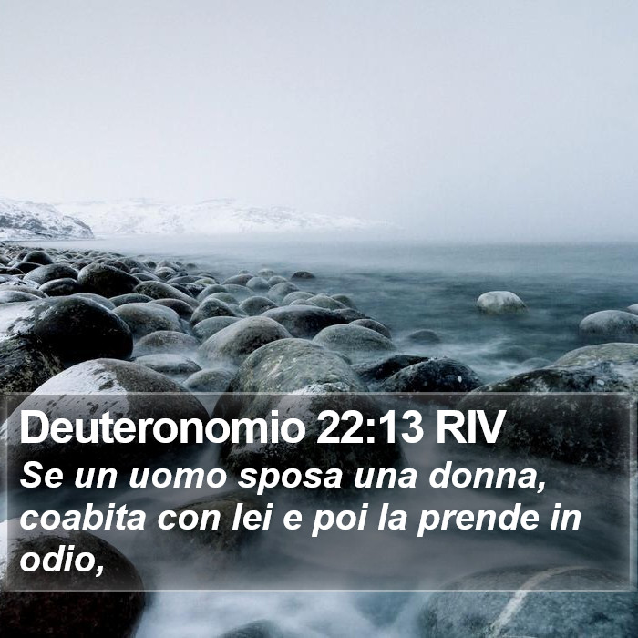 Deuteronomio 22:13 RIV Bible Study