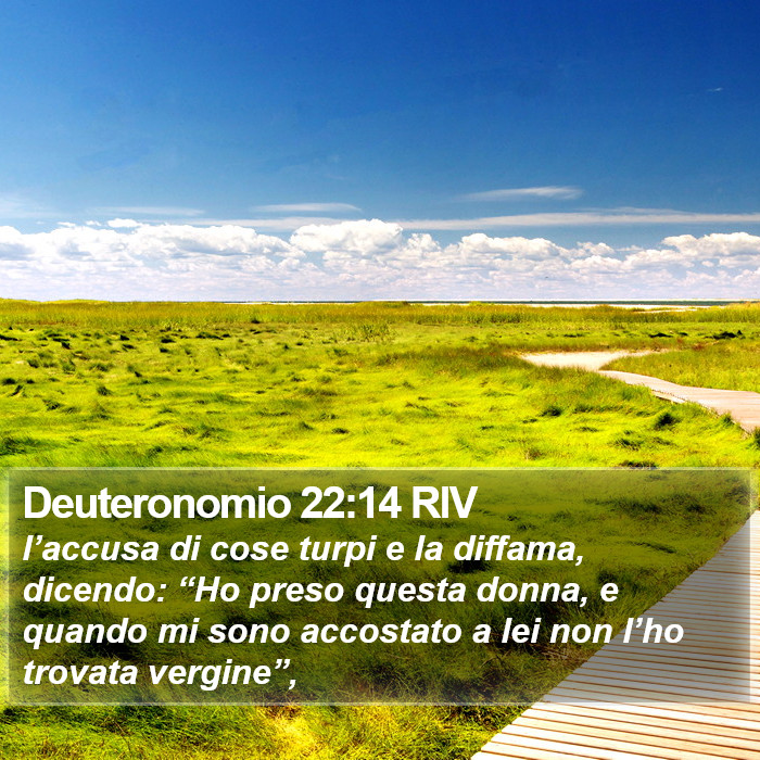 Deuteronomio 22:14 RIV Bible Study