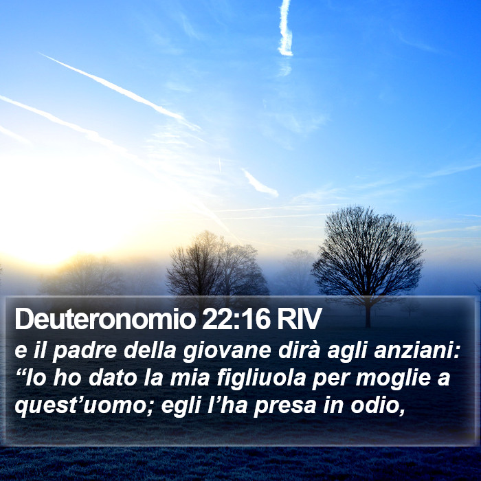 Deuteronomio 22:16 RIV Bible Study