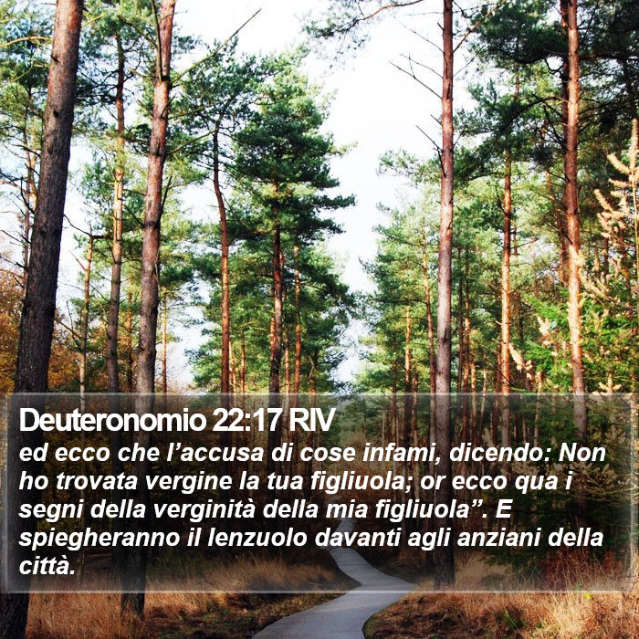 Deuteronomio 22:17 RIV Bible Study