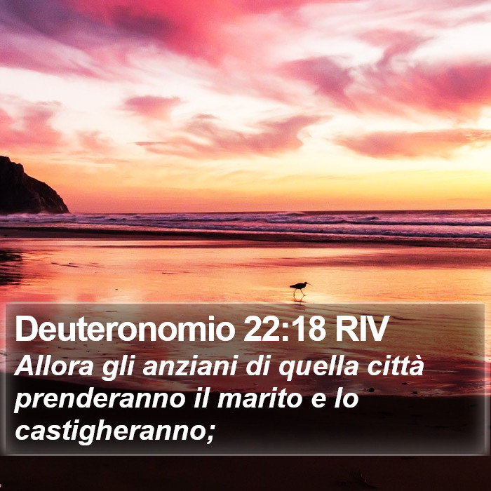 Deuteronomio 22:18 RIV Bible Study