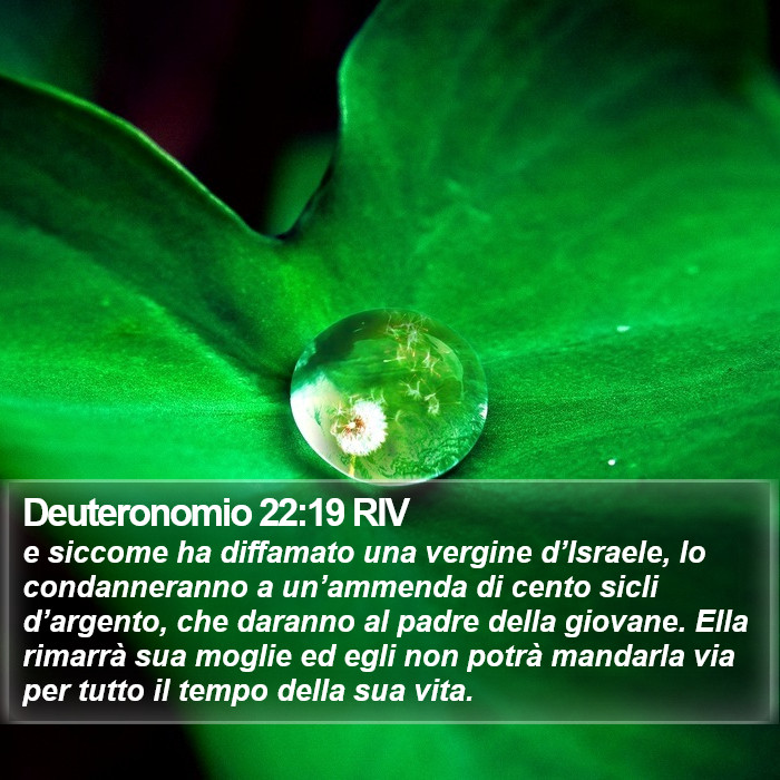 Deuteronomio 22:19 RIV Bible Study