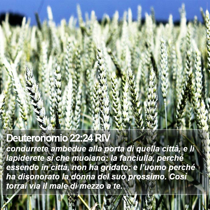 Deuteronomio 22:24 RIV Bible Study