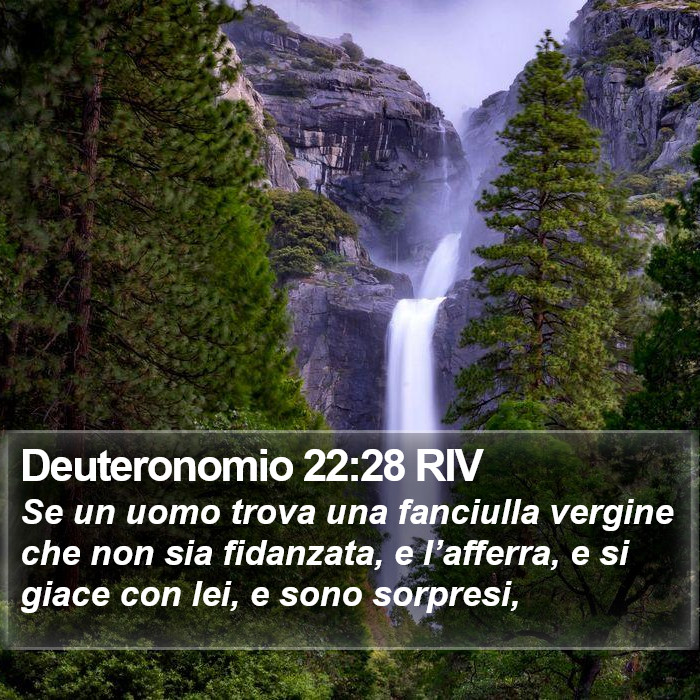 Deuteronomio 22:28 RIV Bible Study