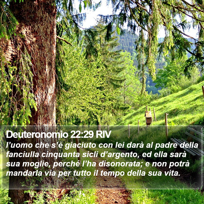 Deuteronomio 22:29 RIV Bible Study