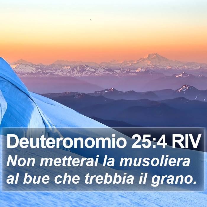 Deuteronomio 25:4 RIV Bible Study