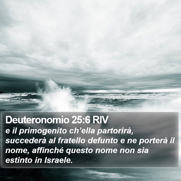 Deuteronomio 25:6 RIV Bible Study