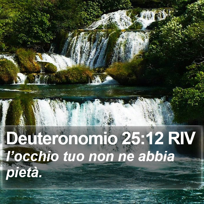 Deuteronomio 25:12 RIV Bible Study