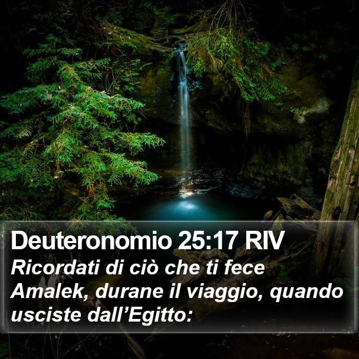 Deuteronomio 25:17 RIV Bible Study