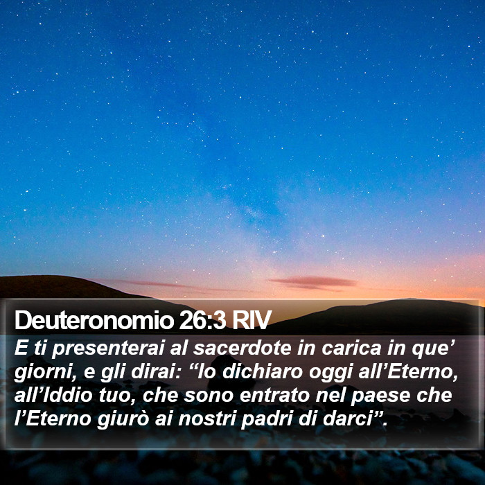 Deuteronomio 26:3 RIV Bible Study