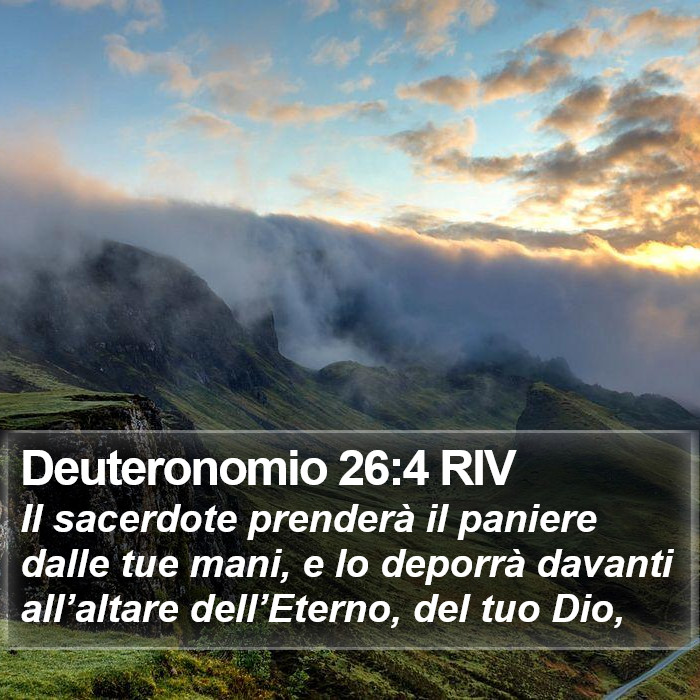 Deuteronomio 26:4 RIV Bible Study