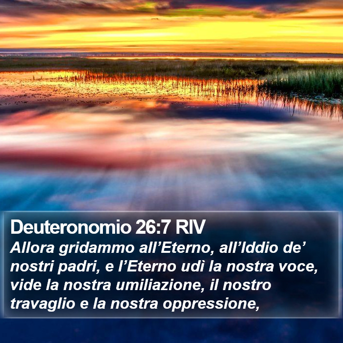 Deuteronomio 26:7 RIV Bible Study