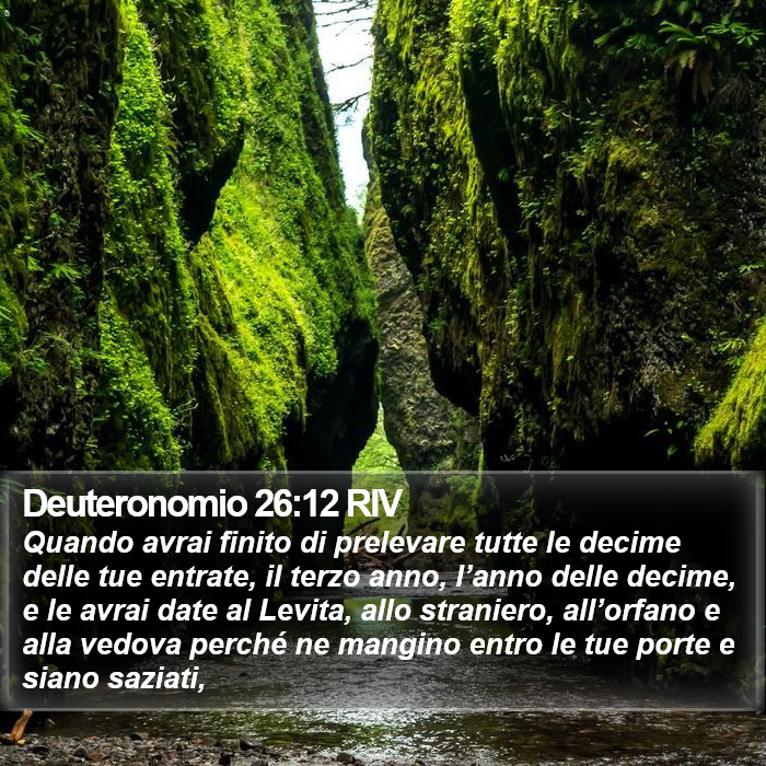 Deuteronomio 26:12 RIV Bible Study