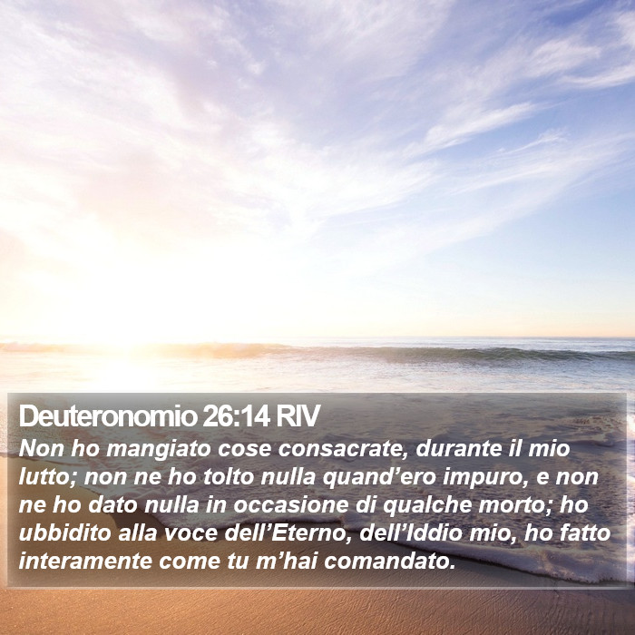 Deuteronomio 26:14 RIV Bible Study