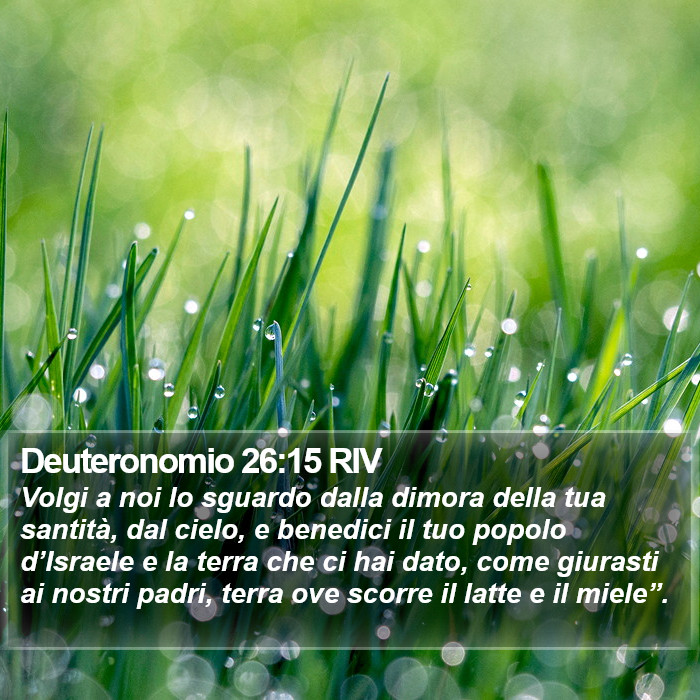 Deuteronomio 26:15 RIV Bible Study