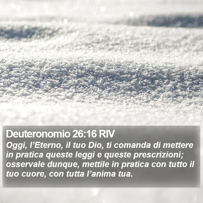 Deuteronomio 26:16 RIV Bible Study