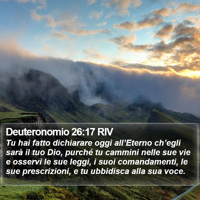 Deuteronomio 26:17 RIV Bible Study