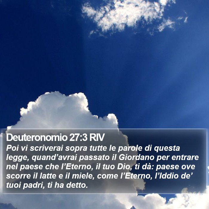 Deuteronomio 27:3 RIV Bible Study