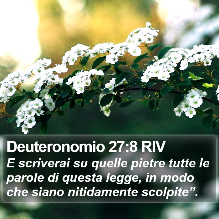 Deuteronomio 27:8 RIV Bible Study