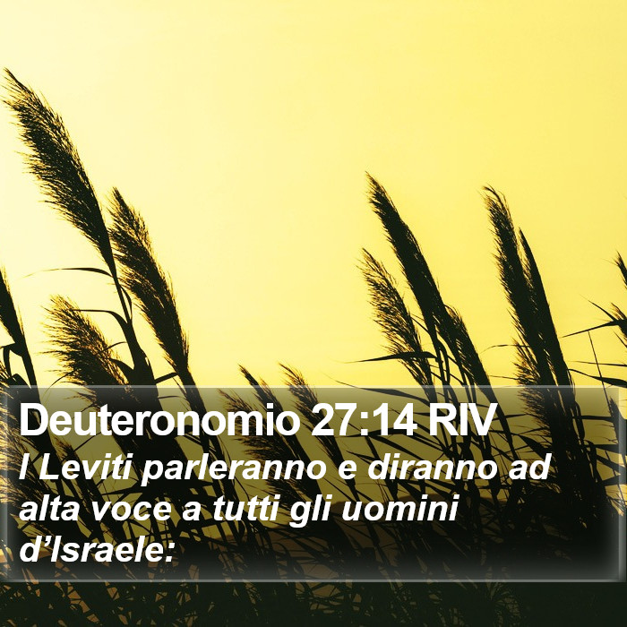 Deuteronomio 27:14 RIV Bible Study