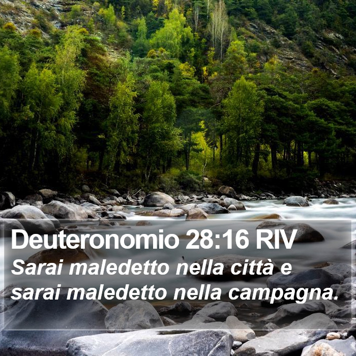 Deuteronomio 28:16 RIV Bible Study